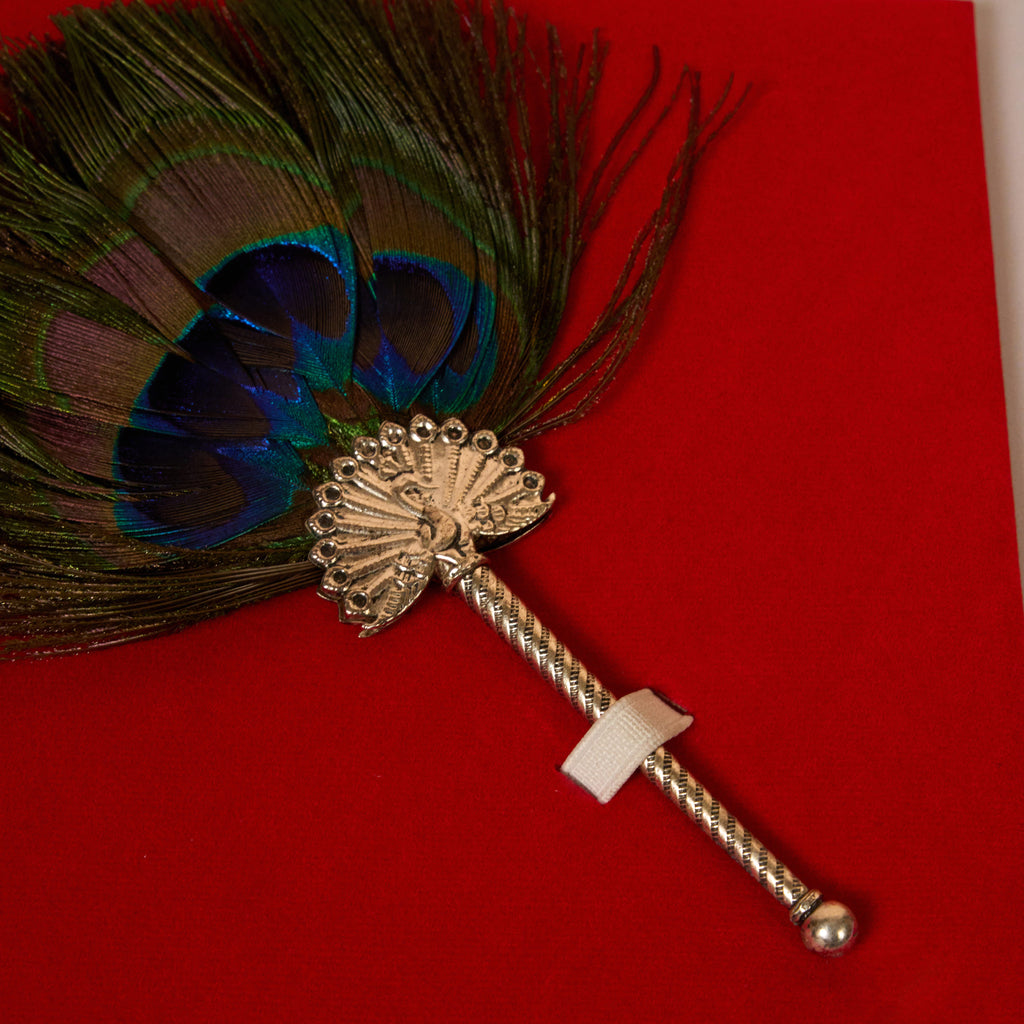 Peacock Feather