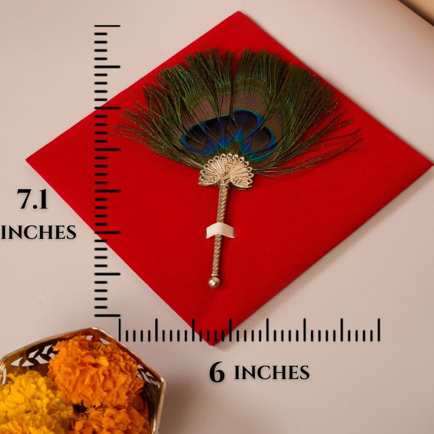 Peacock Feather